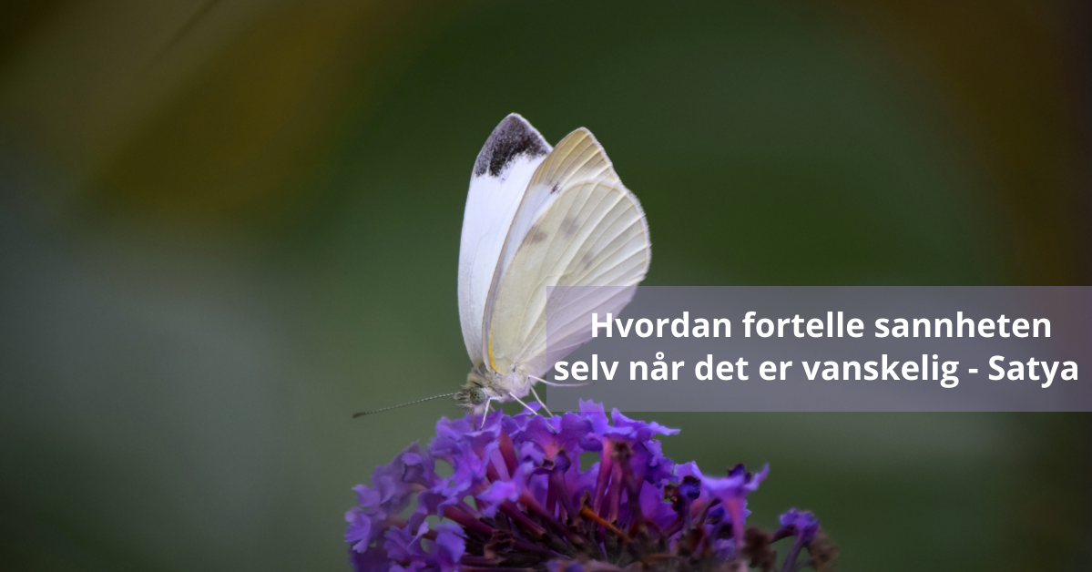 Tanja Evensen yoga